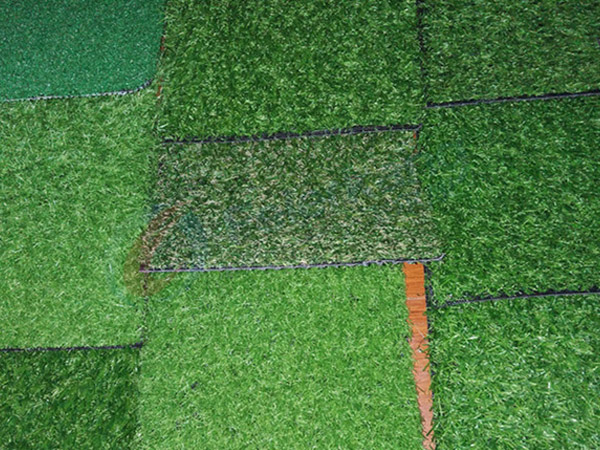 ARTIFICIAL GRASS